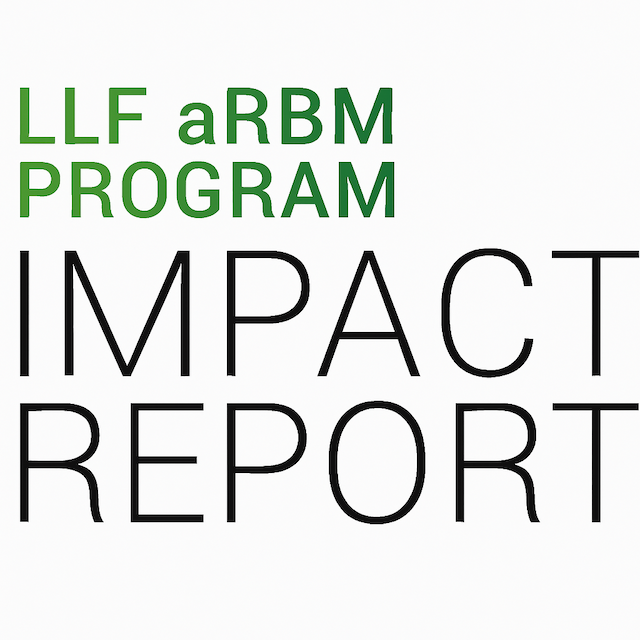 Impact 2024 Report